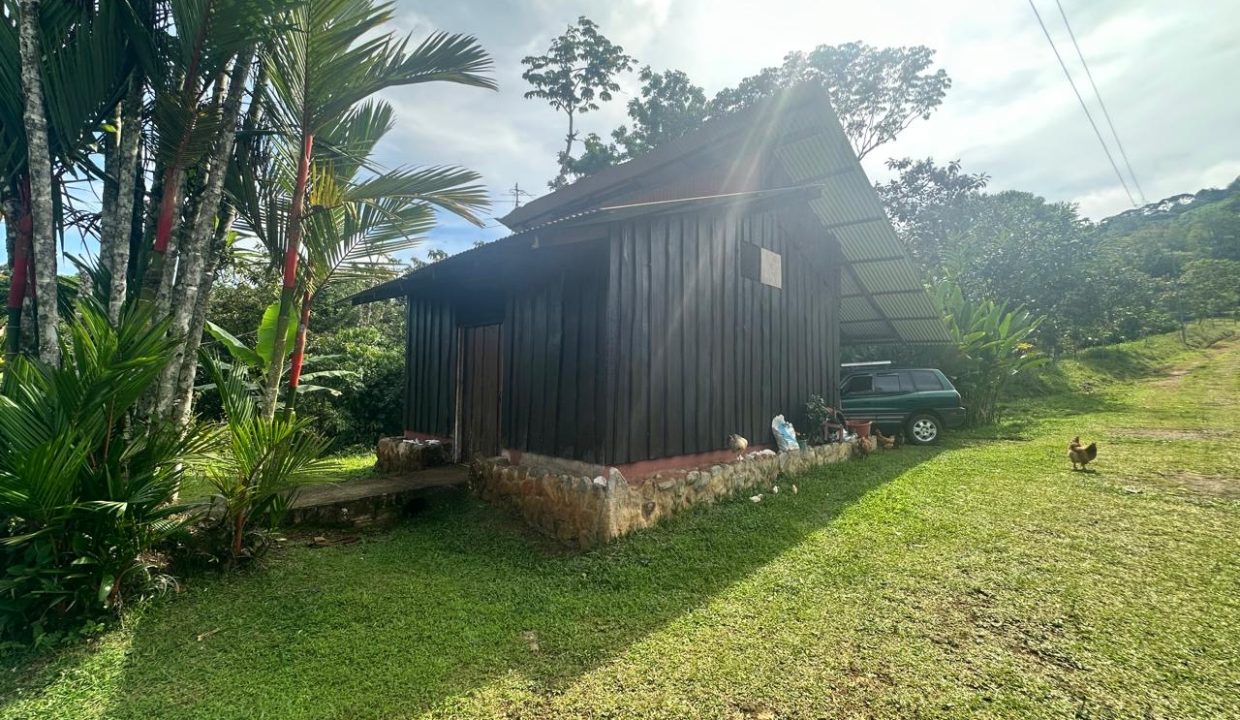 Finca en venta Costa Rica Perez Zeledon (29)