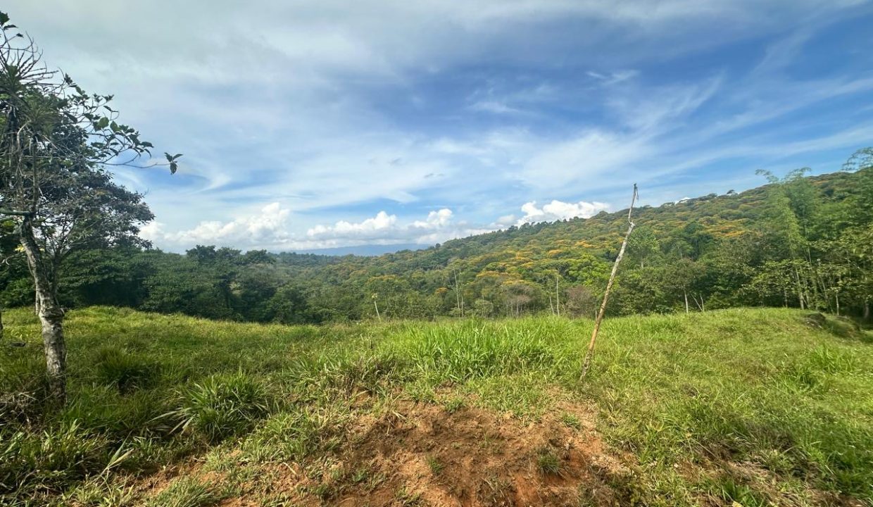 Finca en venta Costa Rica Perez Zeledon (31)