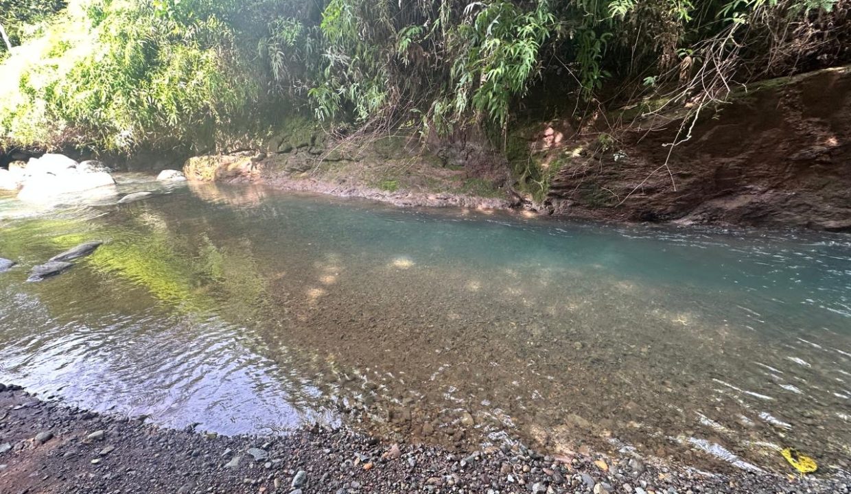 Finca en venta Costa Rica Perez Zeledon (32)