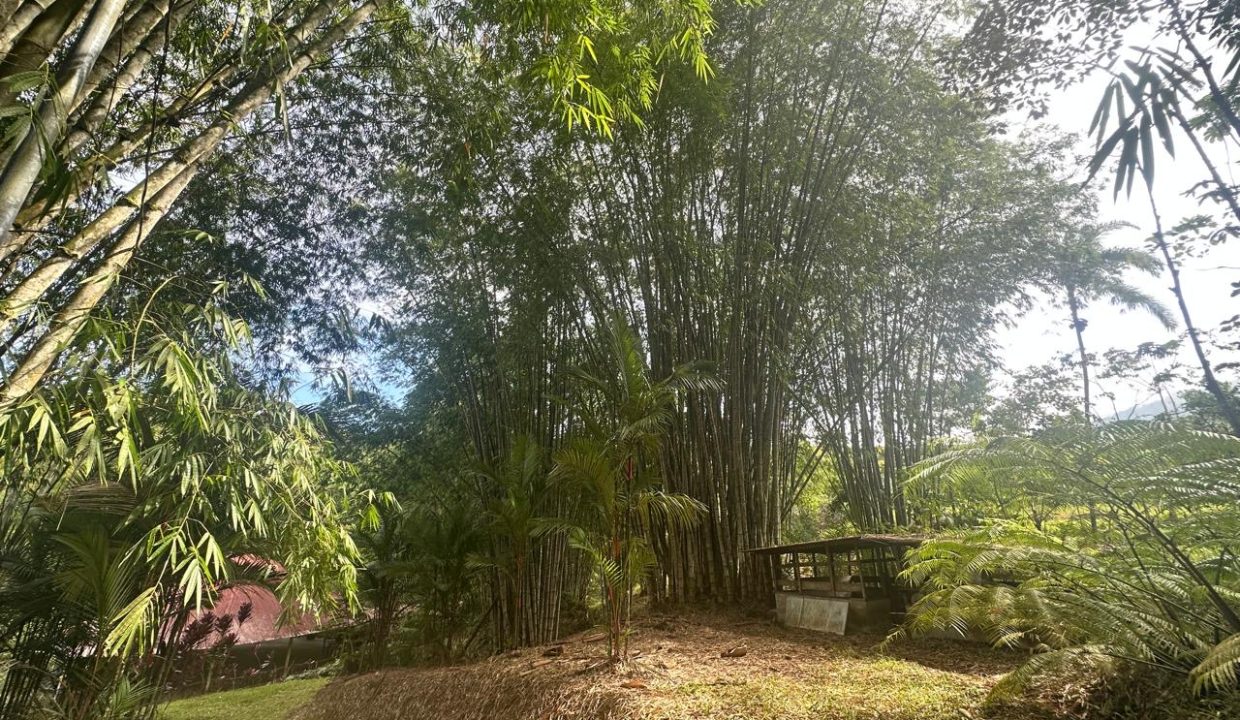 Finca en venta Costa Rica Perez Zeledon (33)