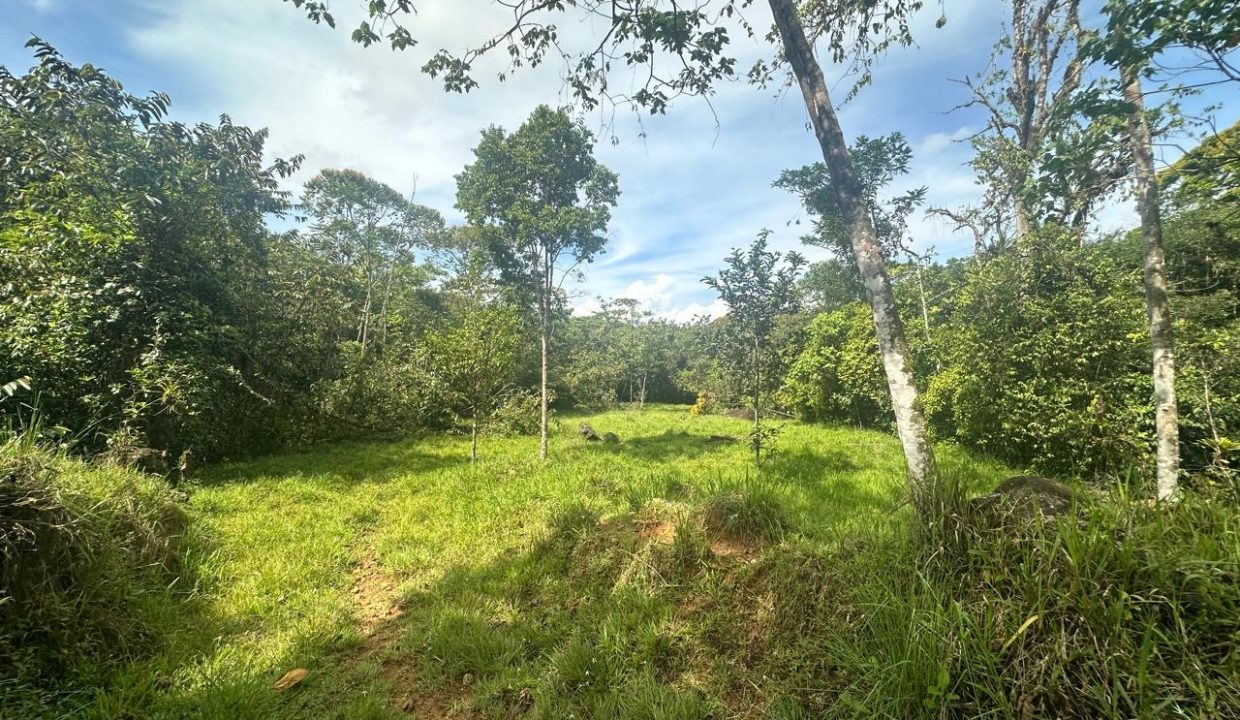 Finca en venta Costa Rica Perez Zeledon (35)