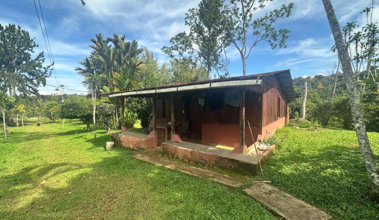 Finca en venta Costa Rica Perez Zeledon (36)