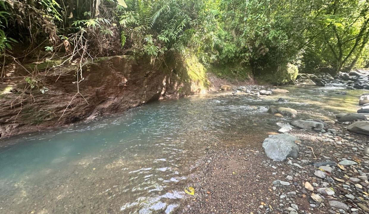 Finca en venta Costa Rica Perez Zeledon (38)