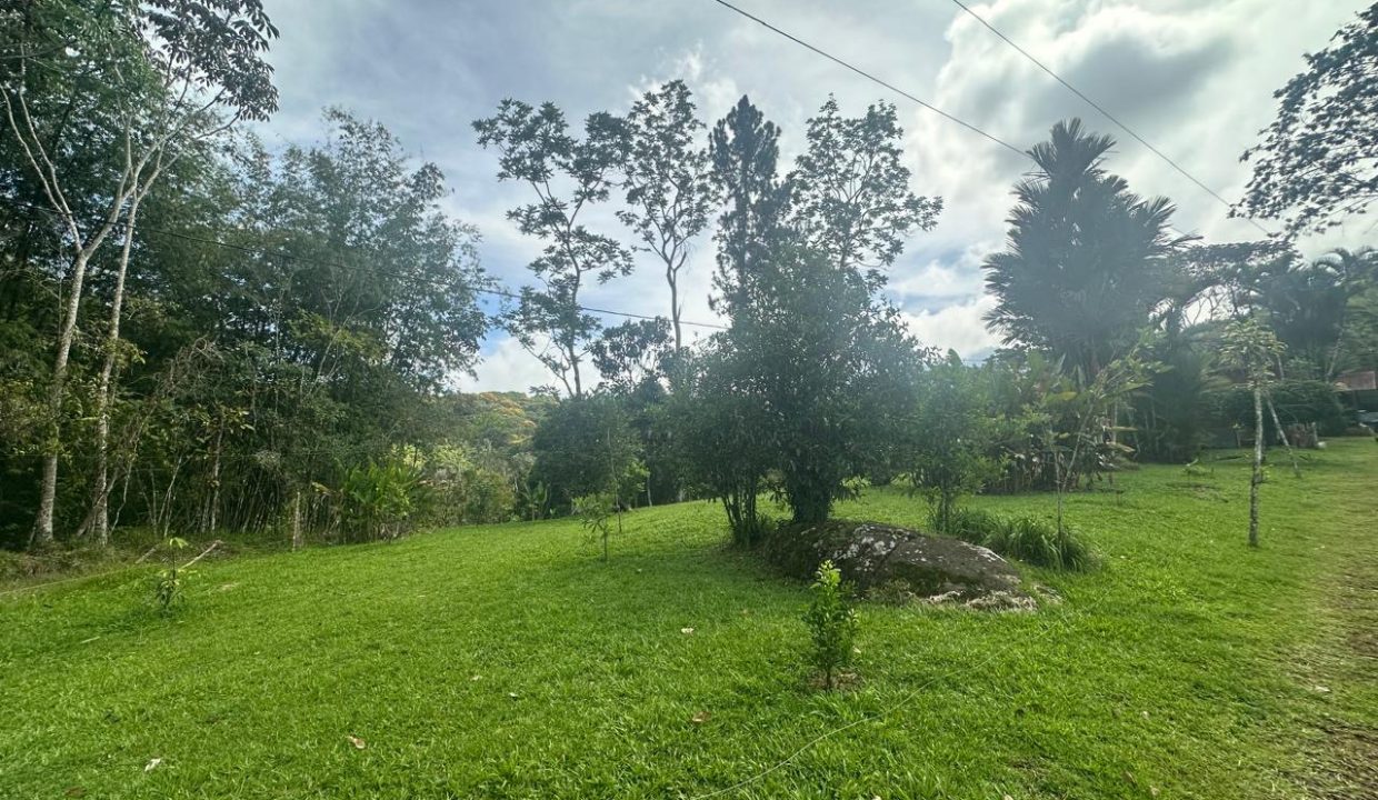 Finca en venta Costa Rica Perez Zeledon (4)