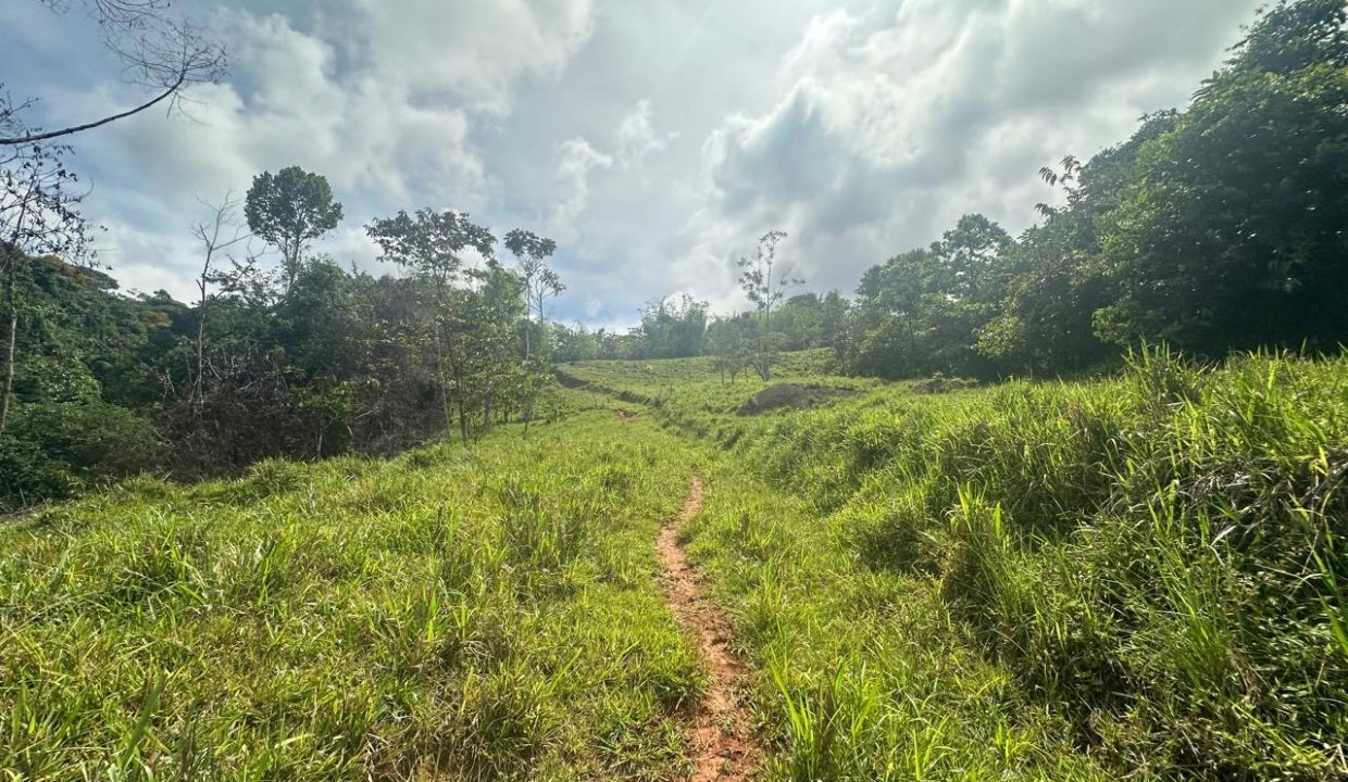 Finca en venta Costa Rica Perez Zeledon (43)