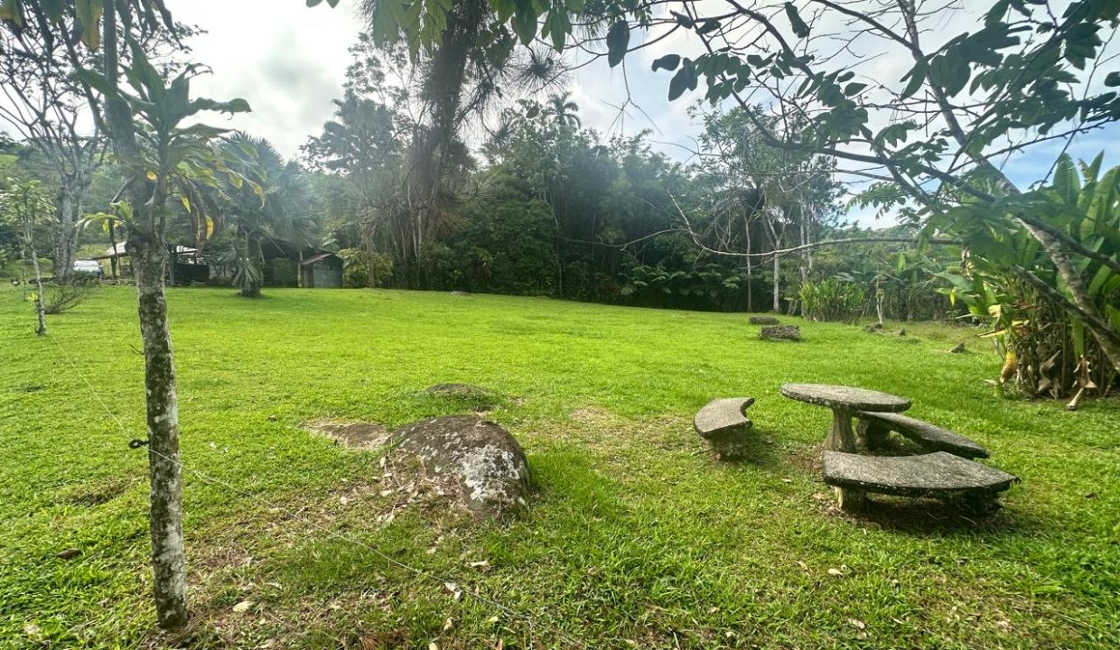 Finca en venta Costa Rica Perez Zeledon (7)