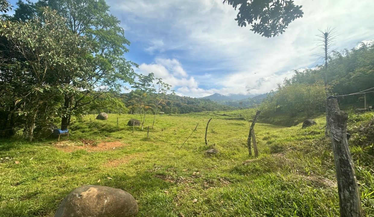 Finca en venta Costa Rica Perez Zeledon (8)