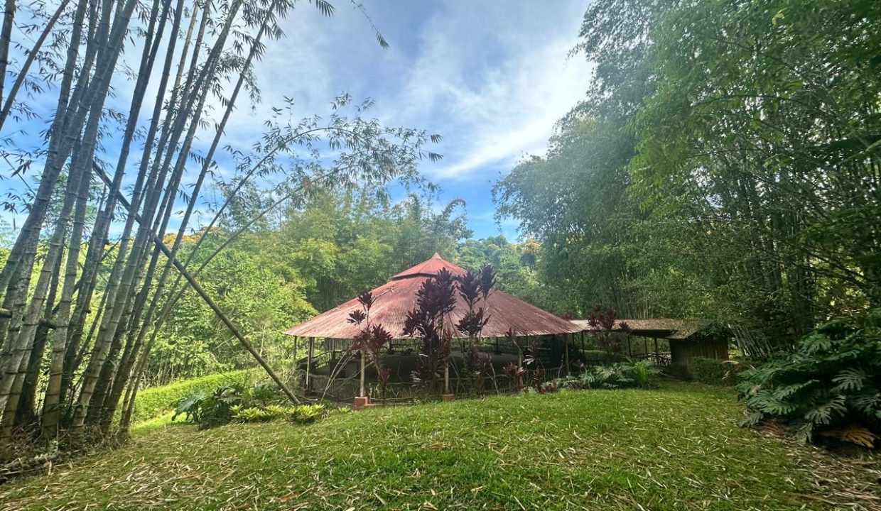 Finca en venta Costa Rica Perez Zeledon (9)
