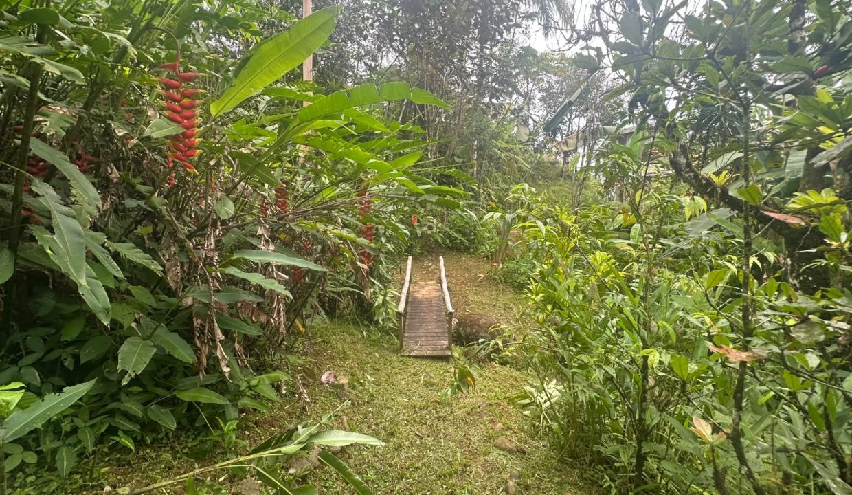 Casa en venta Tinamastes Costa Rica (1)