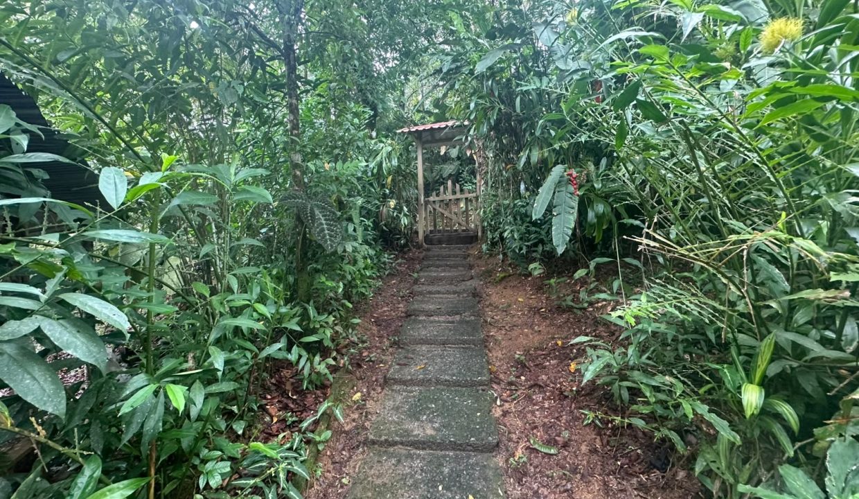 Casa en venta Tinamastes Costa Rica (1.1)