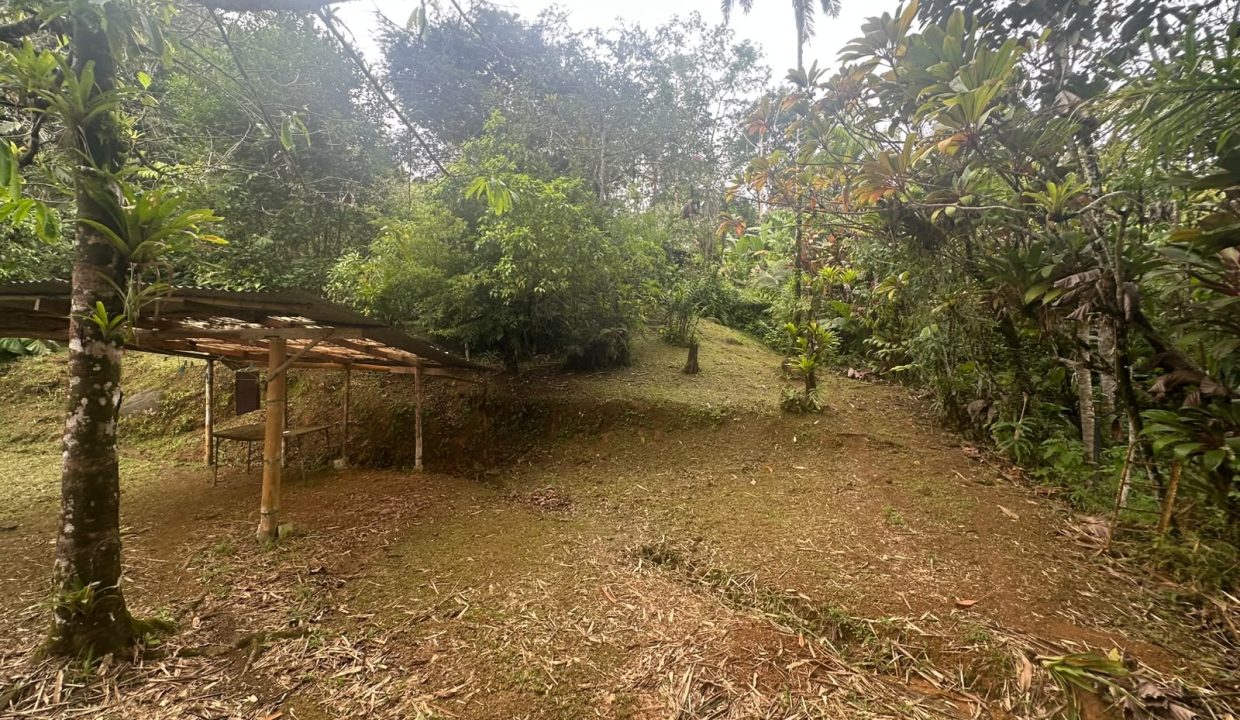Casa en venta Tinamastes Costa Rica (1.5)