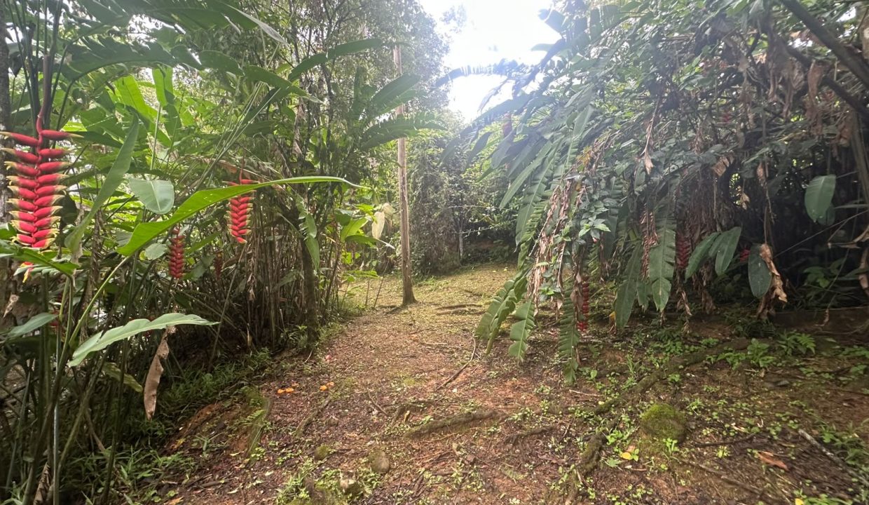 Casa en venta Tinamastes Costa Rica (1.7)