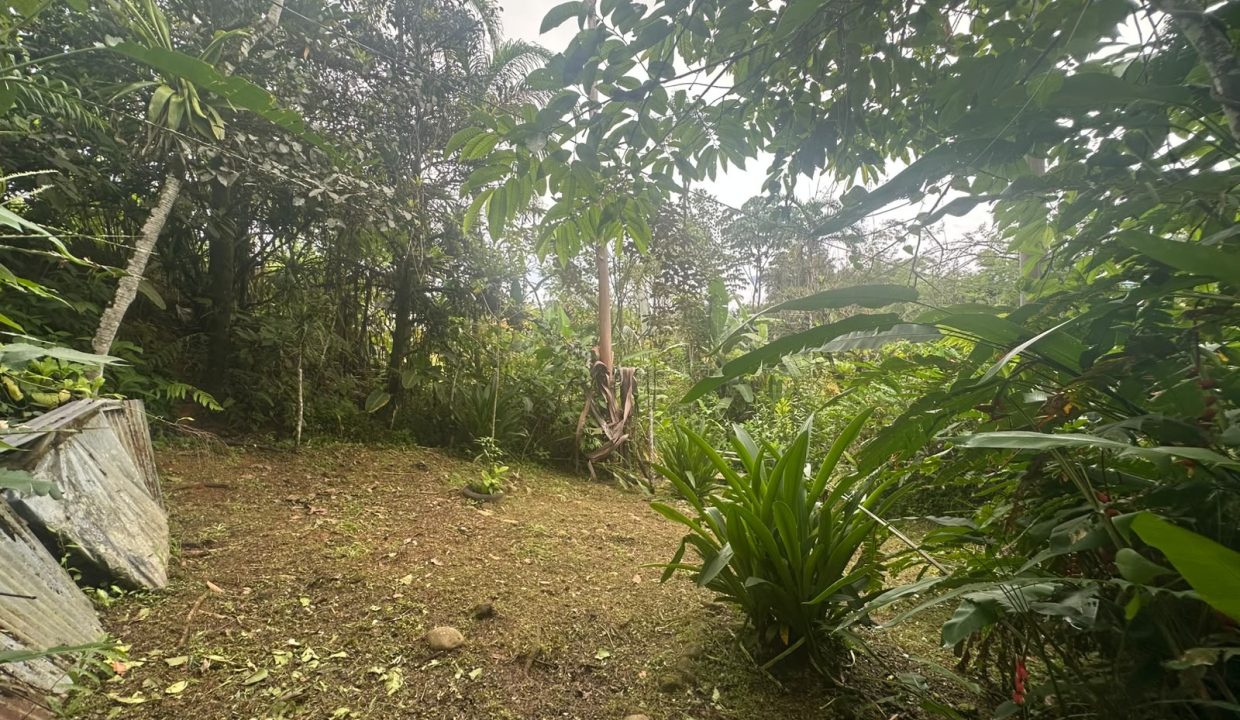 Casa en venta Tinamastes Costa Rica (1.8)