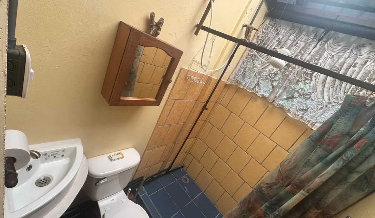 Casa en venta Tinamastes Costa Rica (8)