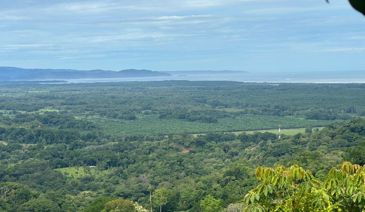Finca en venta Tres Rios Osa (0)