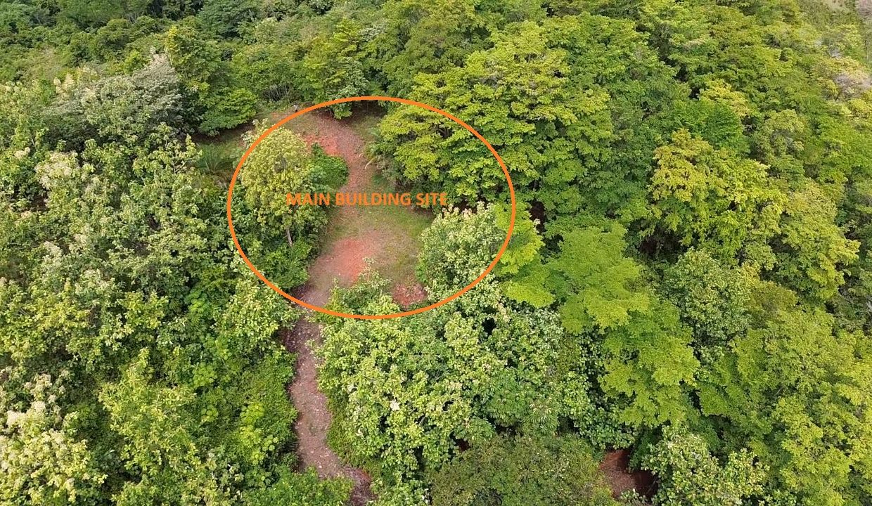 Finca en venta Tres Rios Osa (0.3)