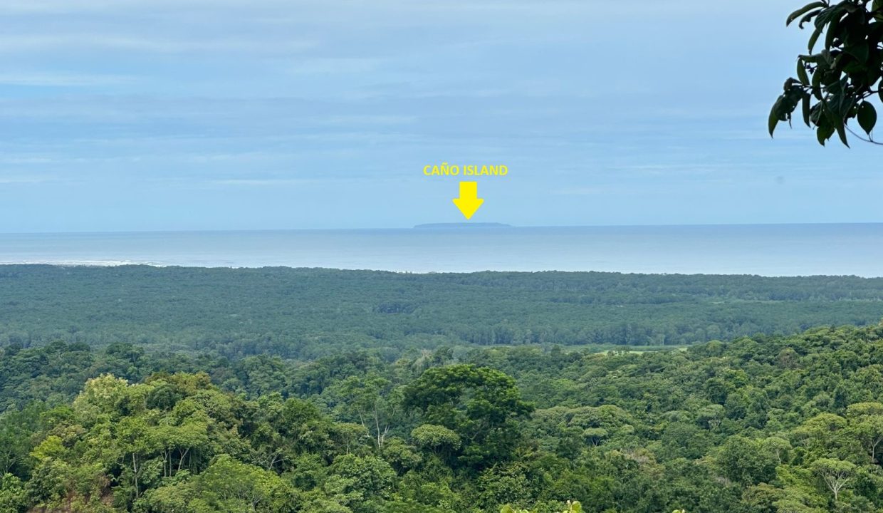 Finca en venta Tres Rios Osa (0.4)