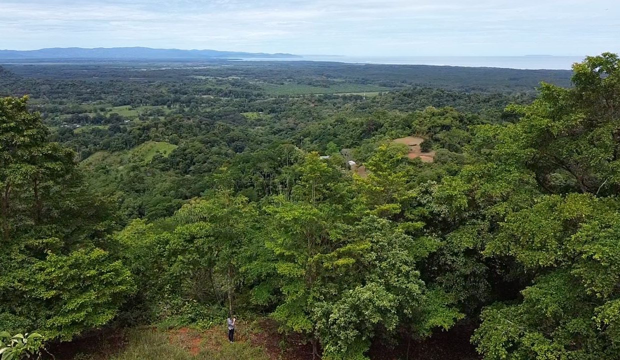 Finca en venta Tres Rios Osa (1)