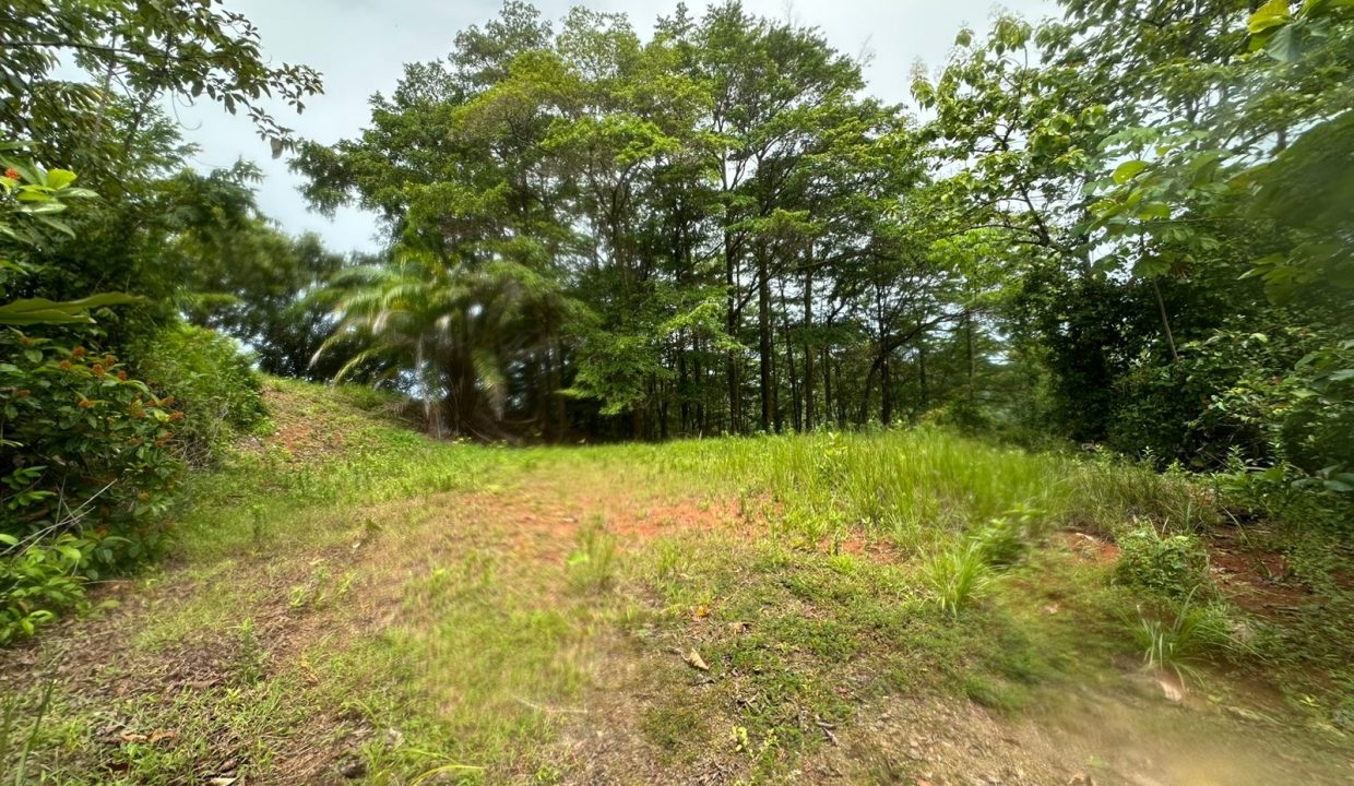 Finca en venta Tres Rios Osa (15)