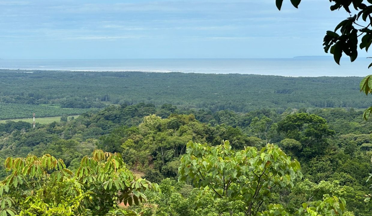 Finca en venta Tres Rios Osa (17)