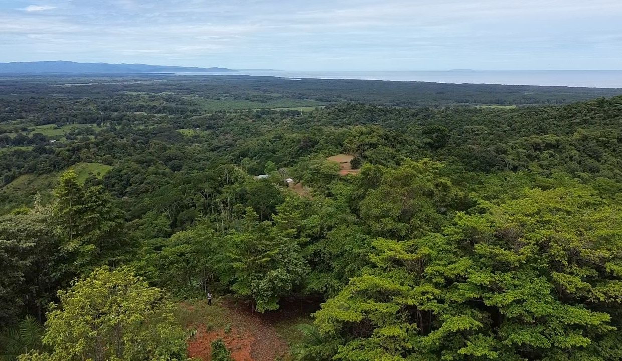 Finca en venta Tres Rios Osa (20)