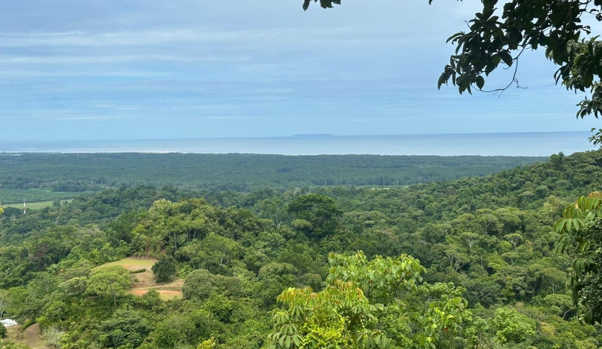 Finca en venta Tres Rios Osa (21)