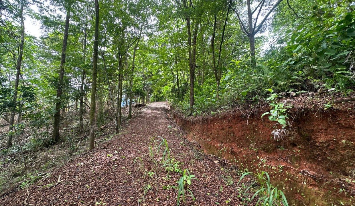 Finca en venta Tres Rios Osa (22)
