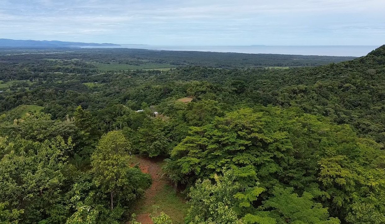 Finca en venta Tres Rios Osa (25)