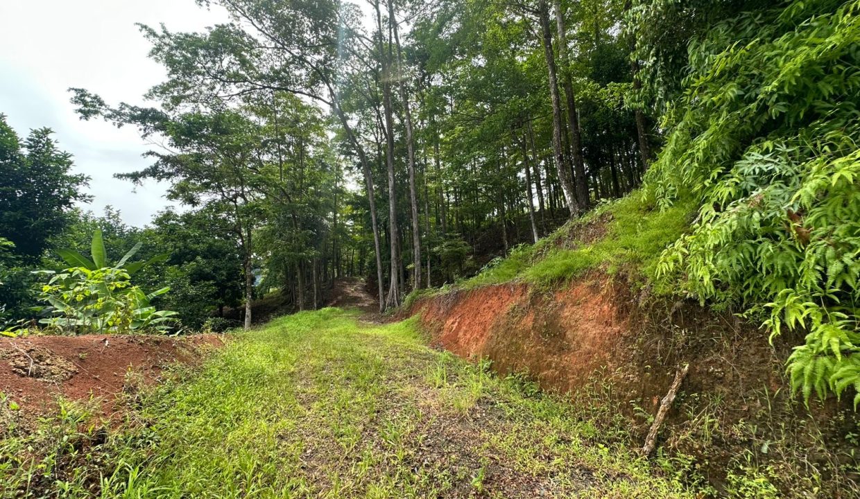 Finca en venta Tres Rios Osa (27)