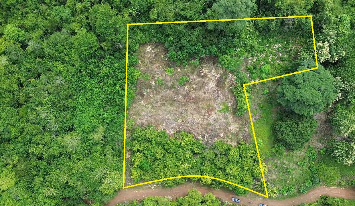Lote en venta tres Rios Osa Costa Rica (0.1)