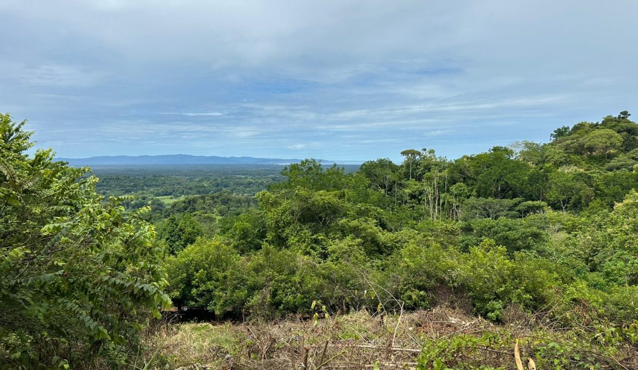 Lote en venta tres Rios Osa Costa Rica (0.3)