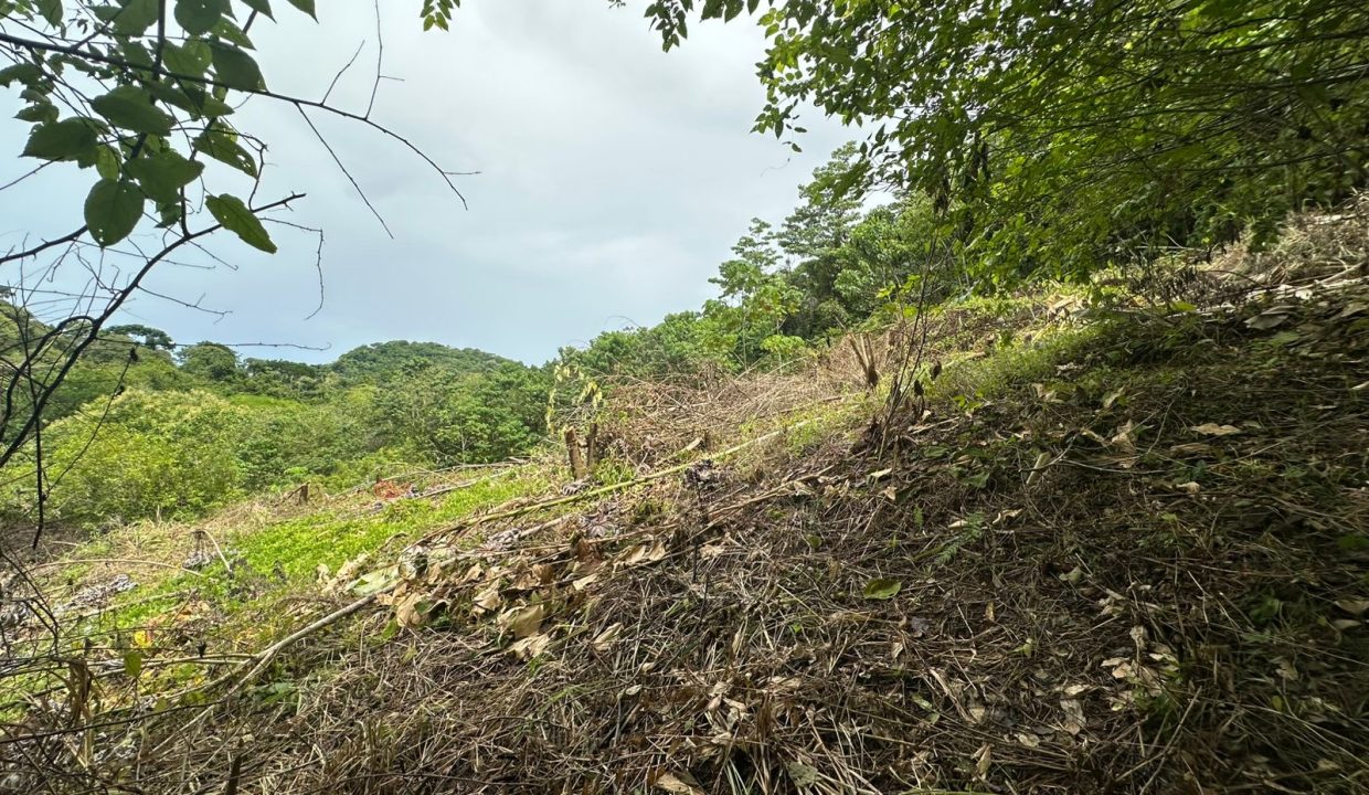 Lote en venta tres Rios Osa Costa Rica (1)