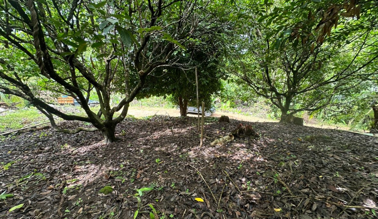 Lote en venta tres Rios Osa Costa Rica (3)