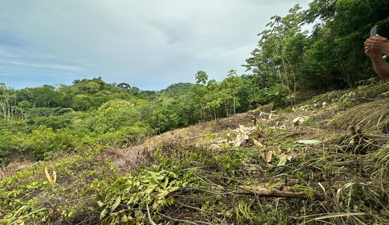 Lote en venta tres Rios Osa Costa Rica (5)