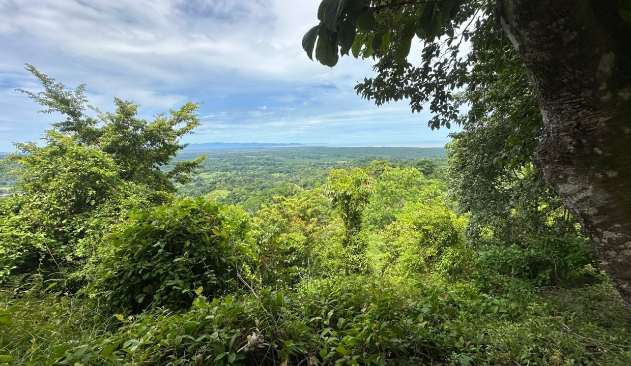 Lote en venta tres Rios Osa Costa Rica (6)