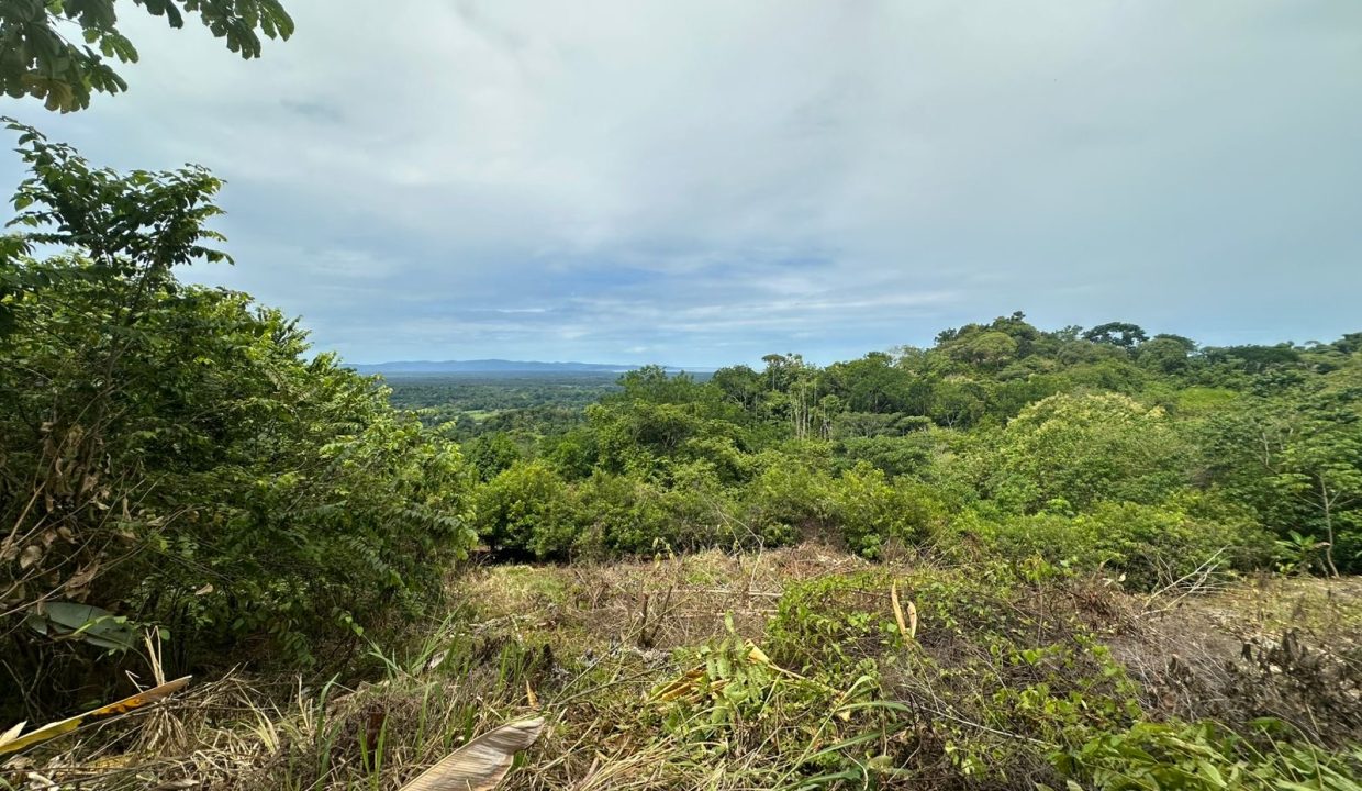 Lote en venta tres Rios Osa Costa Rica (7)