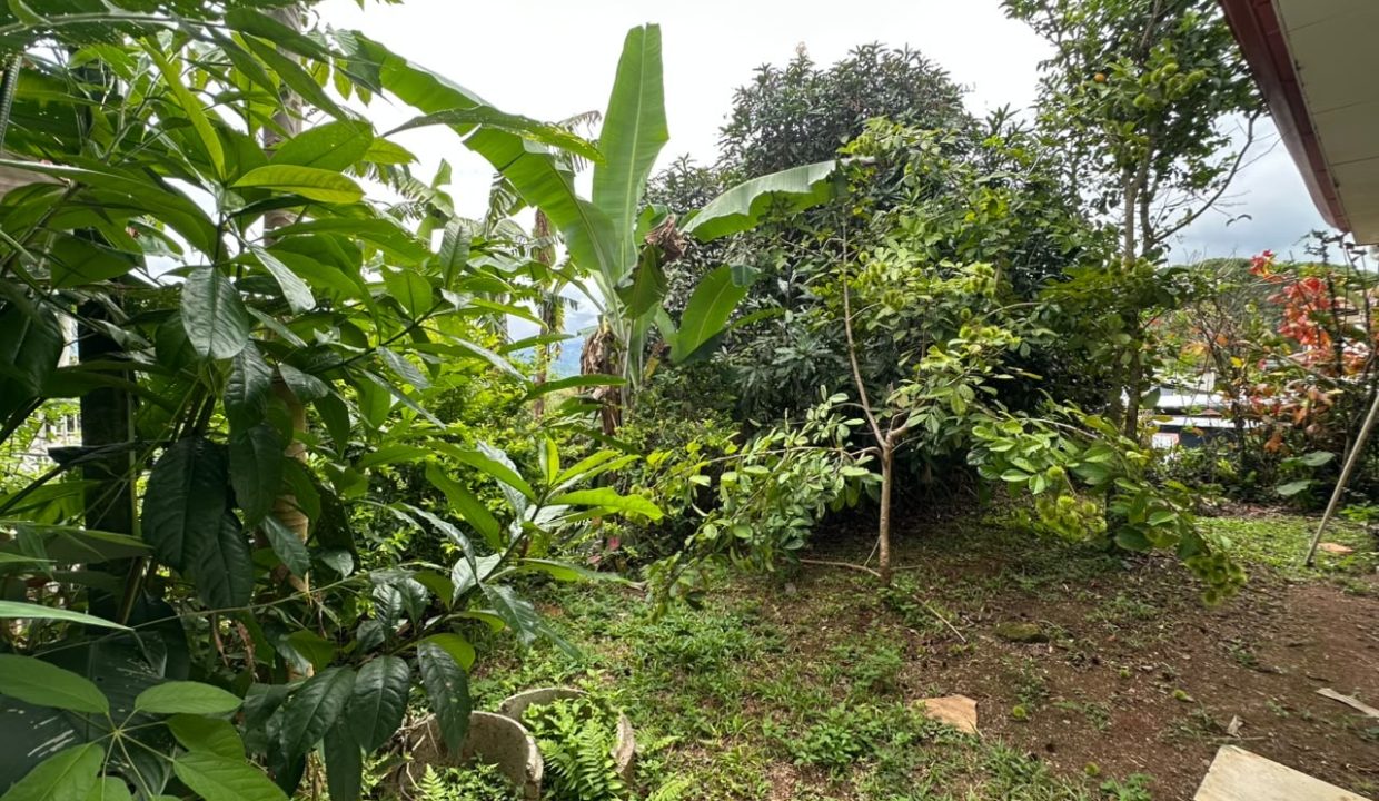 Casa en venta en Perez Zeledon (9)