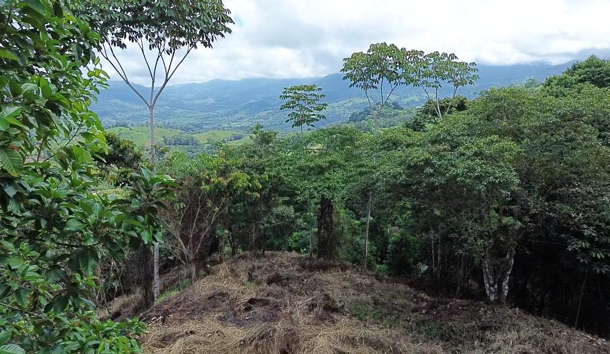 LOTE EN VENTA PLATANILLO COSTA RICA (0)