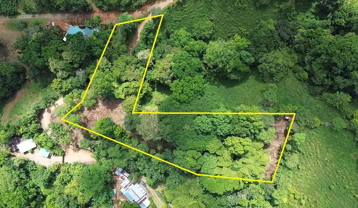 LOTE EN VENTA PLATANILLO COSTA RICA (0.1)