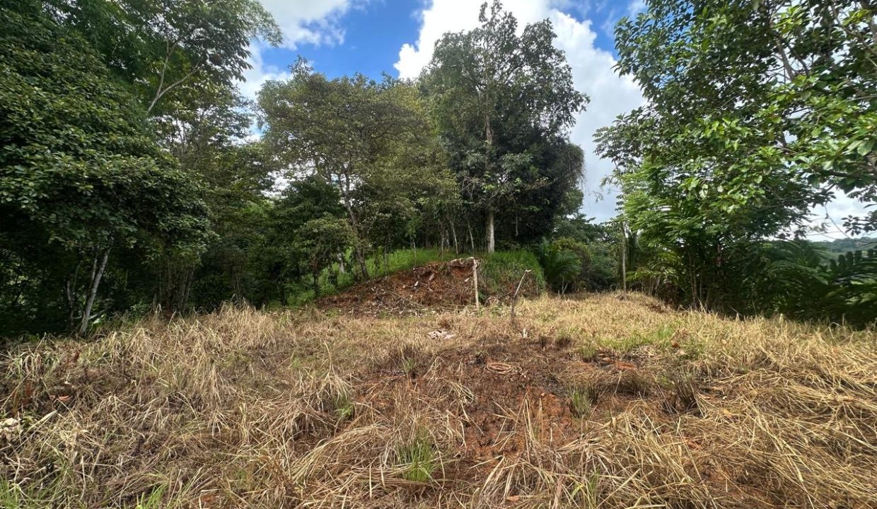 LOTE EN VENTA PLATANILLO COSTA RICA (1)