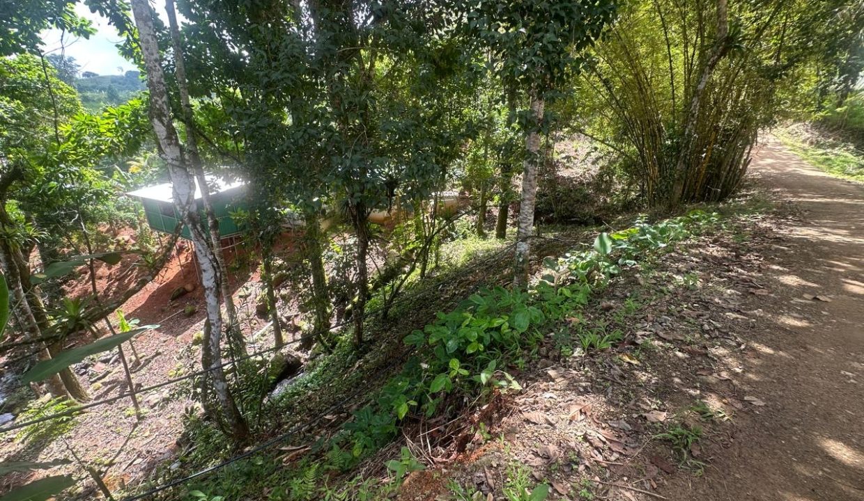 LOTE EN VENTA PLATANILLO COSTA RICA (10)