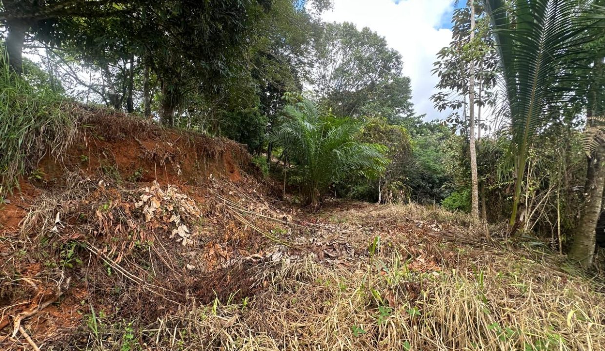 LOTE EN VENTA PLATANILLO COSTA RICA (11)