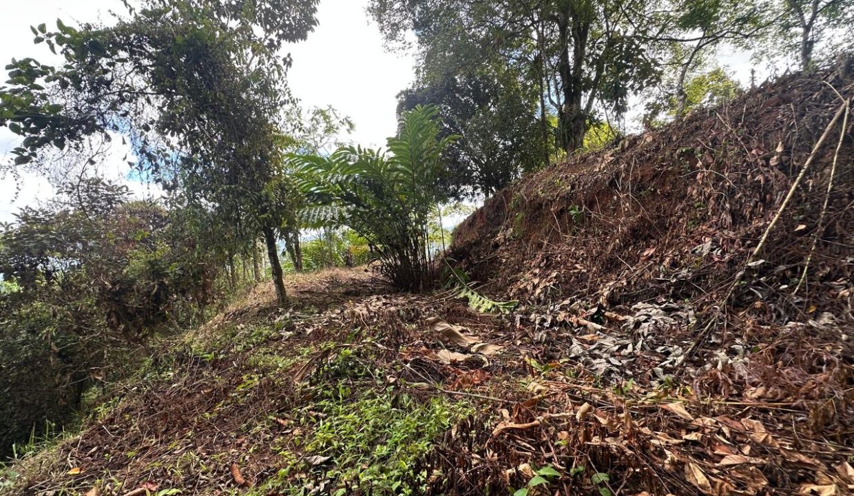 LOTE EN VENTA PLATANILLO COSTA RICA (12)