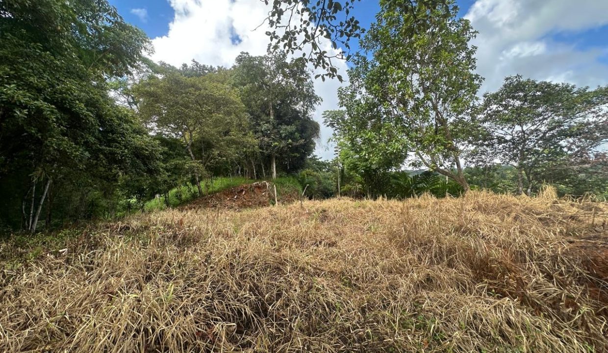 LOTE EN VENTA PLATANILLO COSTA RICA (13)