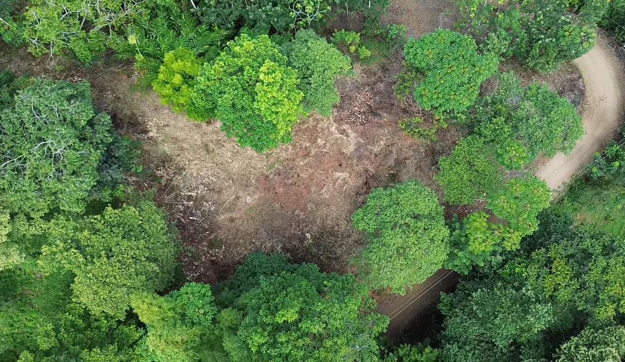 LOTE EN VENTA PLATANILLO COSTA RICA (14)