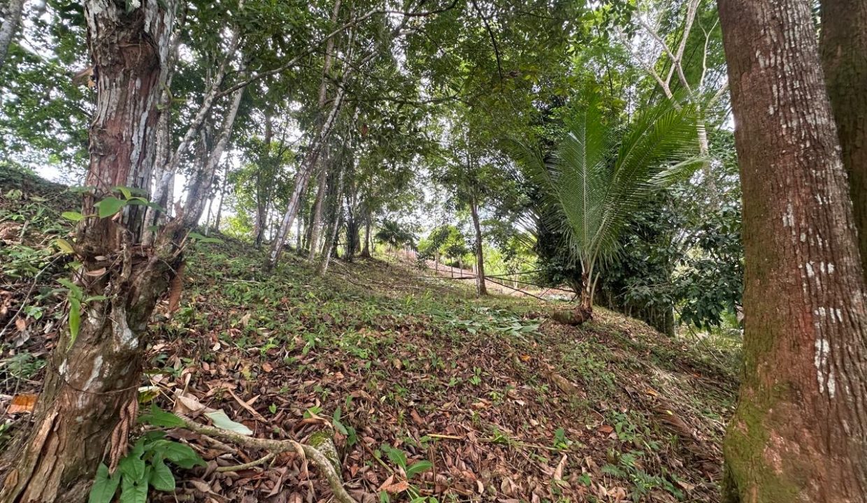 LOTE EN VENTA PLATANILLO COSTA RICA (3)