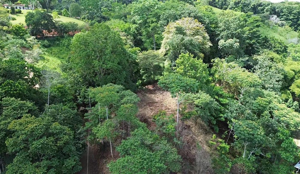 LOTE EN VENTA PLATANILLO COSTA RICA (5)