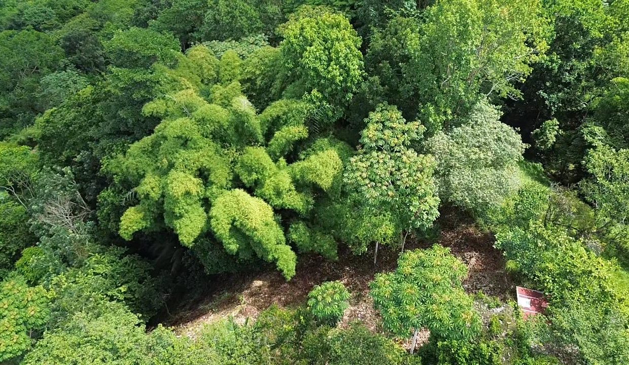 LOTE EN VENTA PLATANILLO COSTA RICA (8)