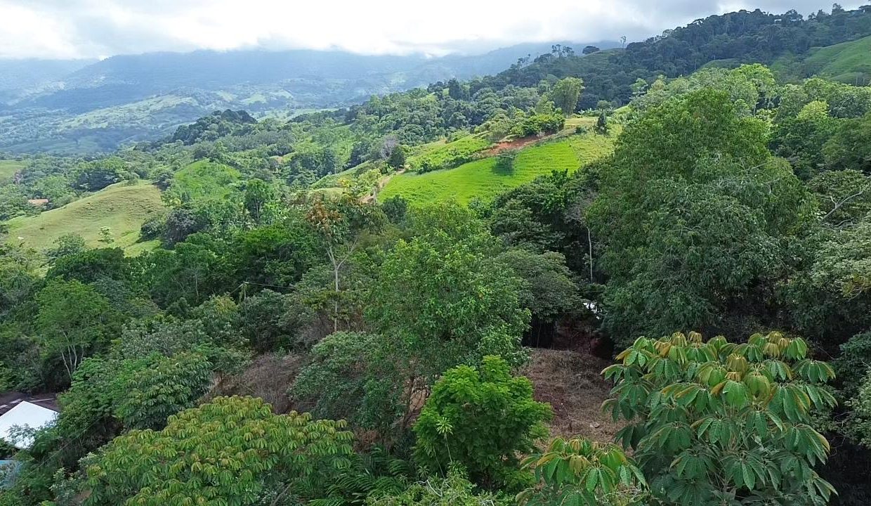 LOTE EN VENTA PLATANILLO COSTA RICA (9)