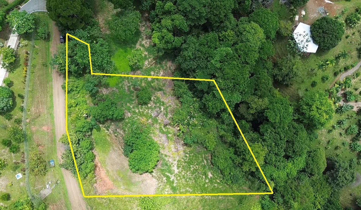 LOTE EN VENTA PORTALON OSA COSTA RICA (0.1)